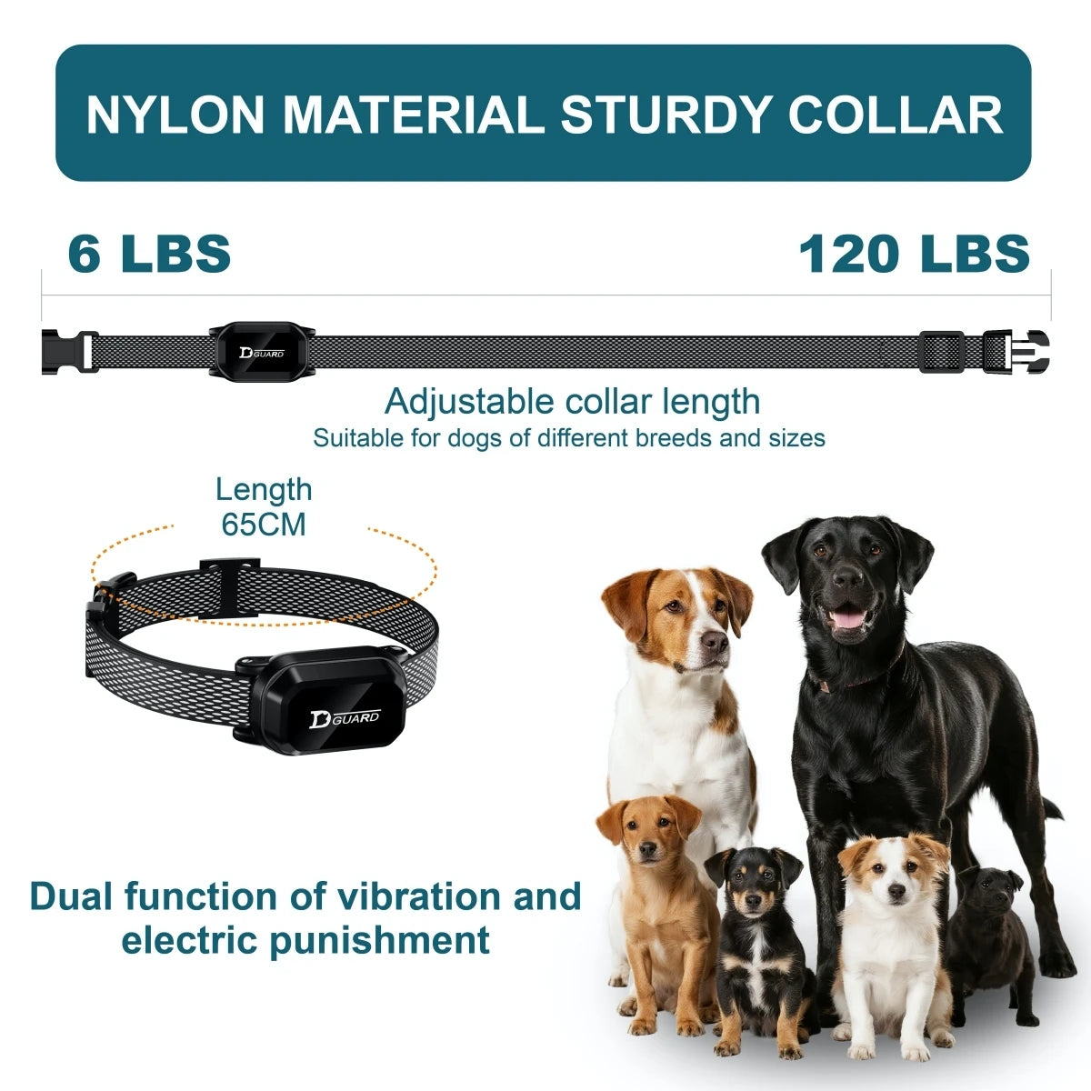 Digital Remote Dog Training Collar — 800m Range, LCD Display & Waterproof