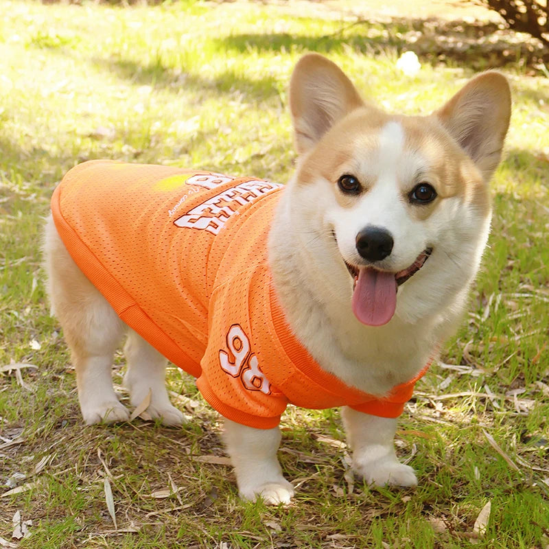 LA Style Dog Cooling Vest | Summer Breathable Shirt for Small to Large Dogs