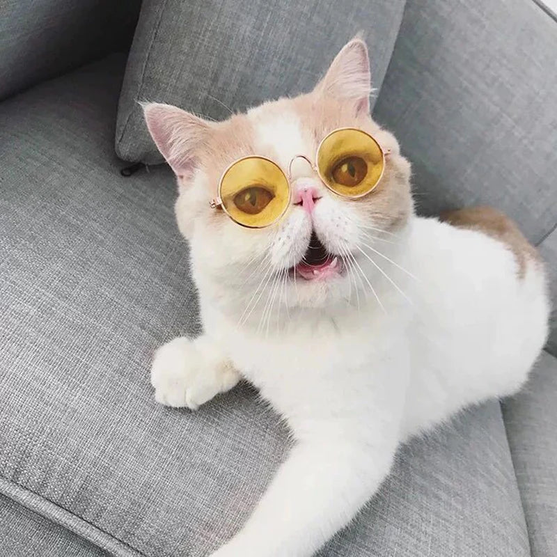 Mini Sunglasses for Cats & Small Dogs