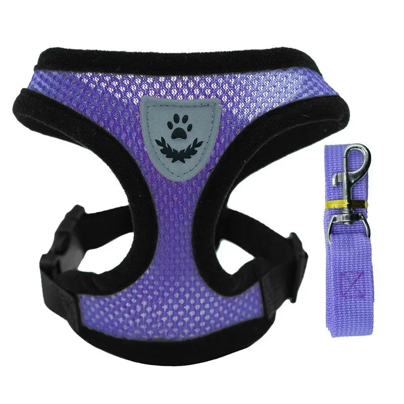 Harnais anti-évasion pour chat et chien avec laisse - Gilet en maille réglable pour la promenade