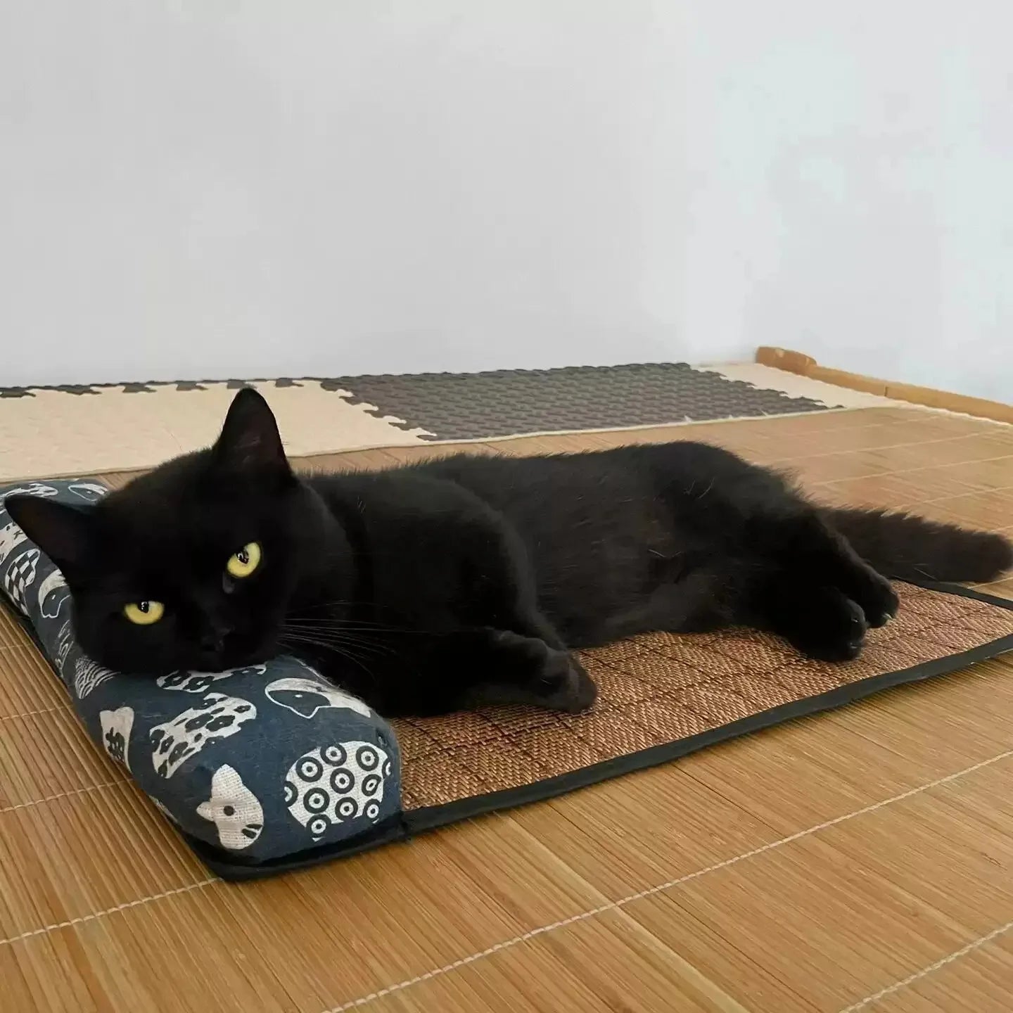 Lit rafraîchissant pour animaux de compagnie - Chats et Chiens