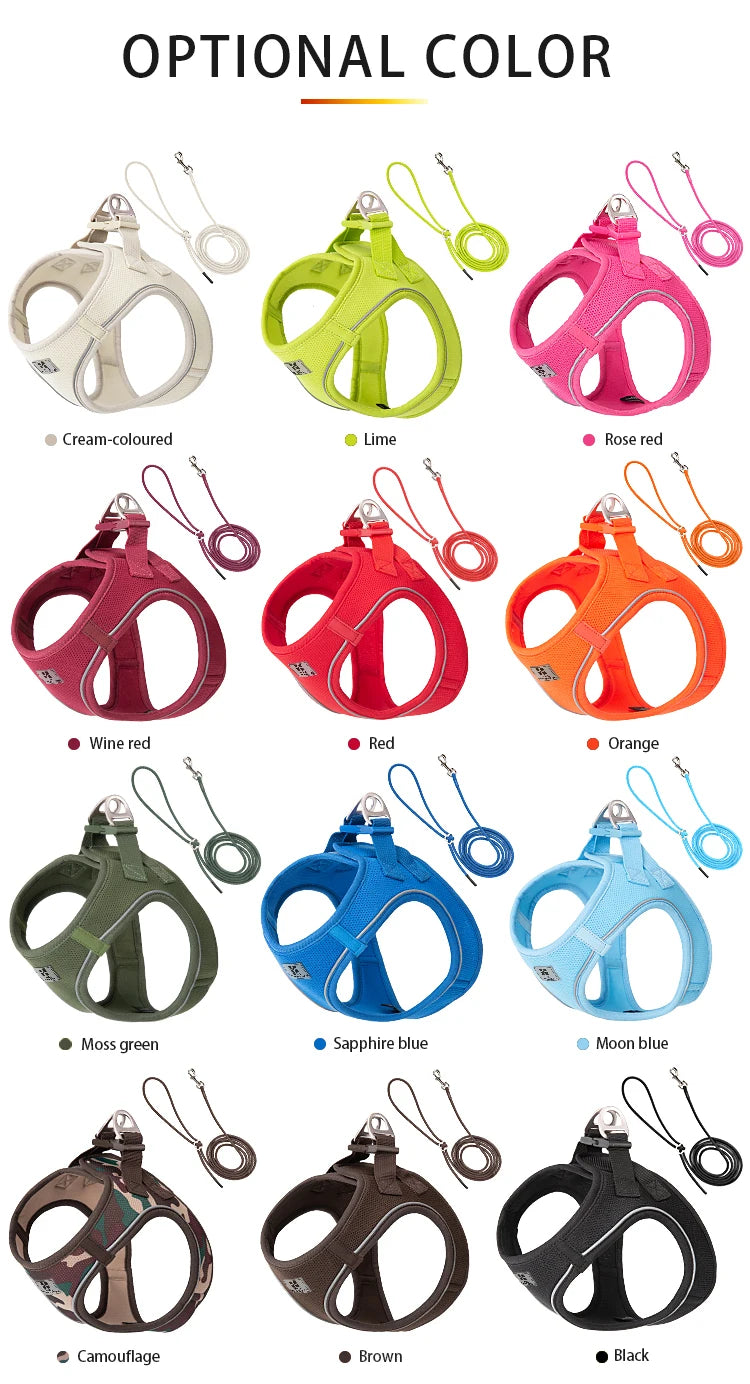 Reflective Dog & Cat Harness with Leash Set