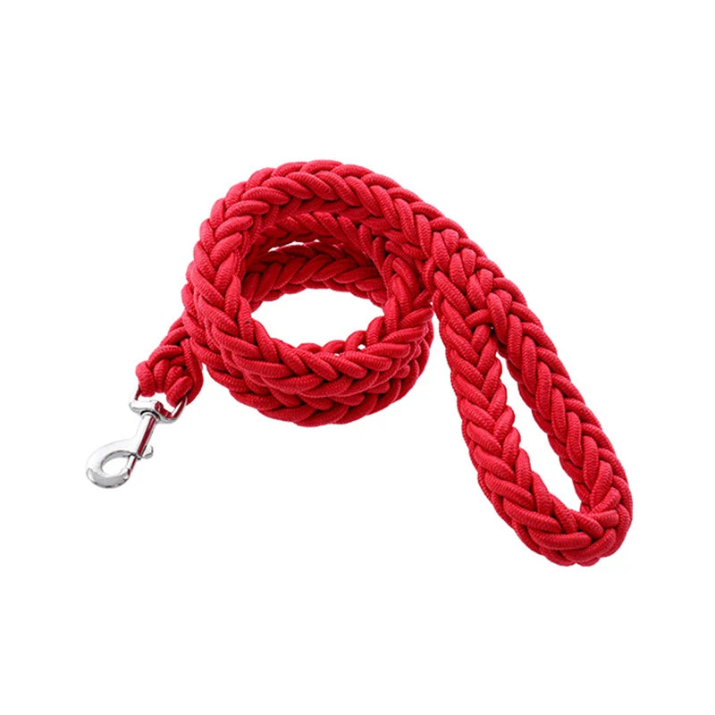 Heavy-Duty Nylon Dog Lead