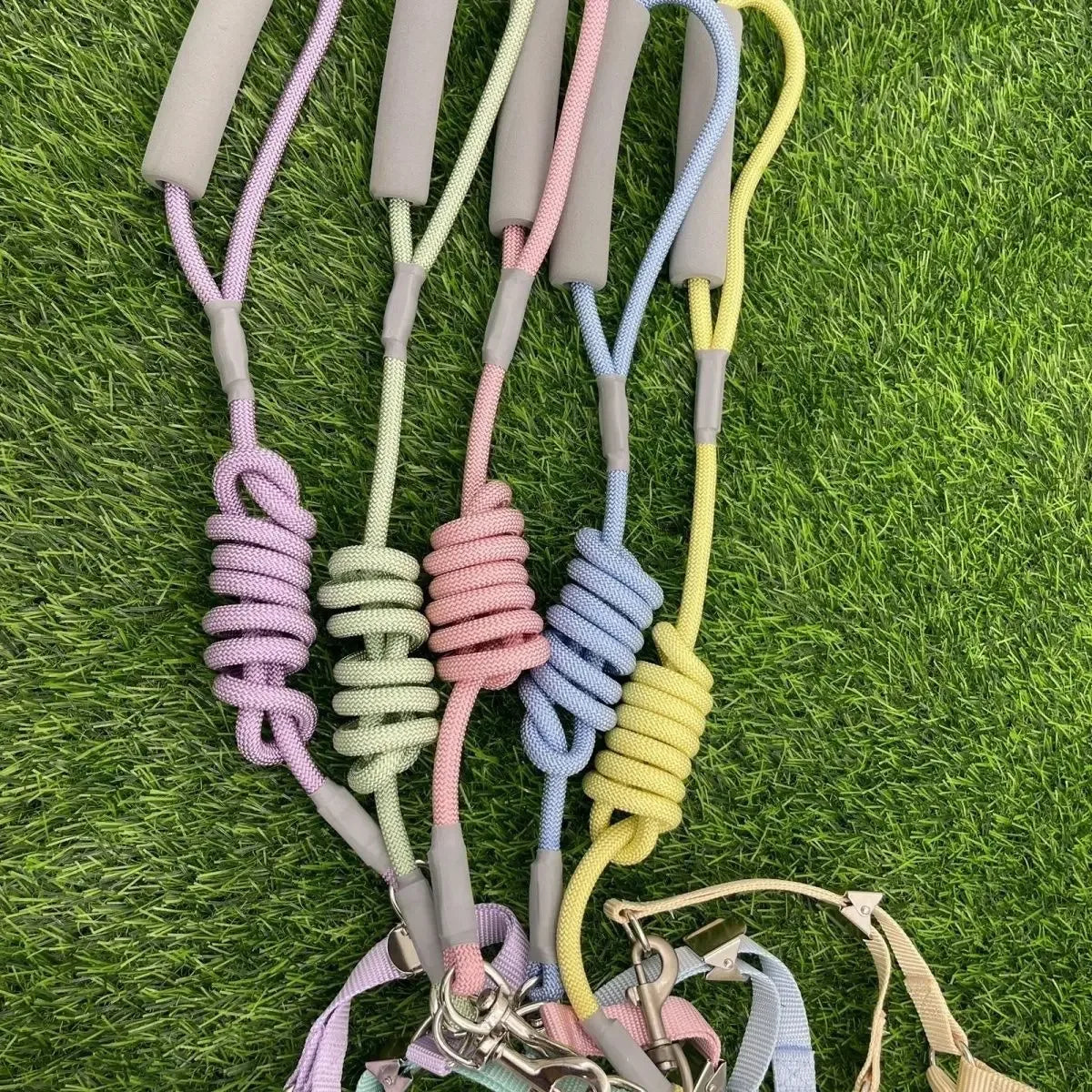 Harnais gilet pour animaux avec sangle de poitrine réglable