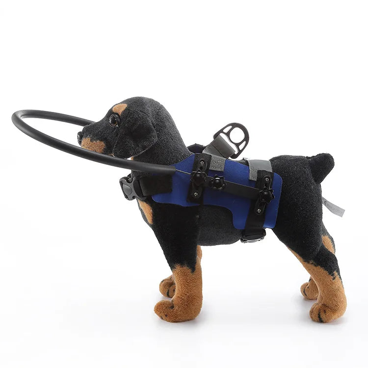 Anti-Collision Halo Collar for Blind & Visually Impaired Dogs