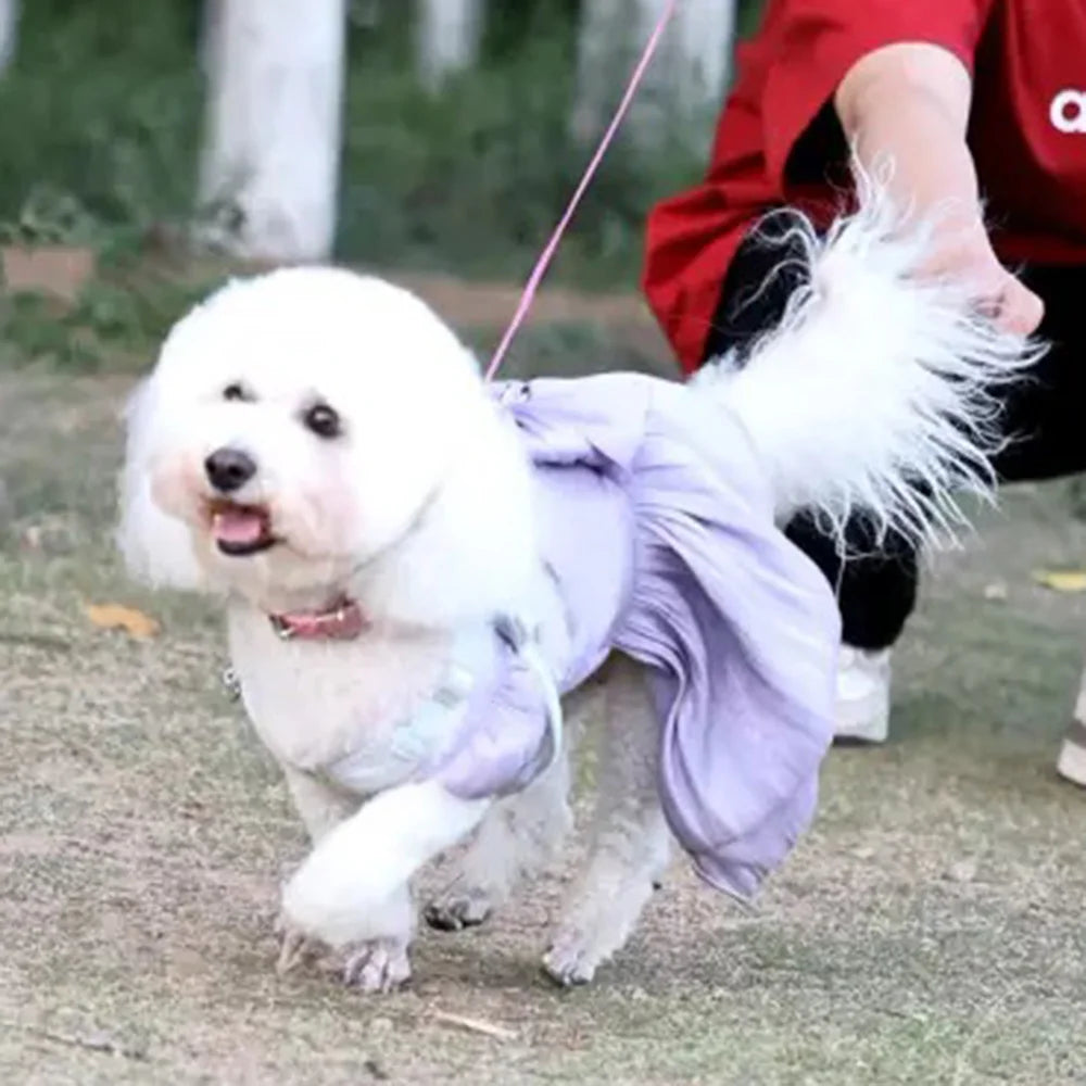 Bowknot Princess Dress for Small Dogs & Cats