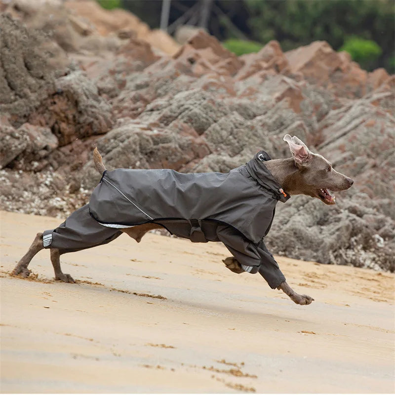 Waterproof Dog Raincoat Jumpsuit for Medium & Large Dogs