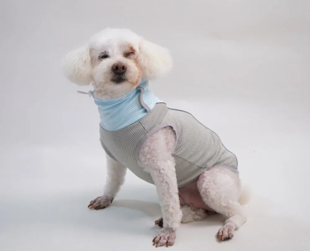 Ice Pack Cooling Vest for Small & Medium Dogs