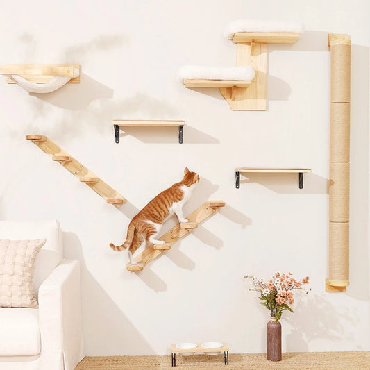 Wall-Mounted Cat Climbing Shelf & Hammock Set