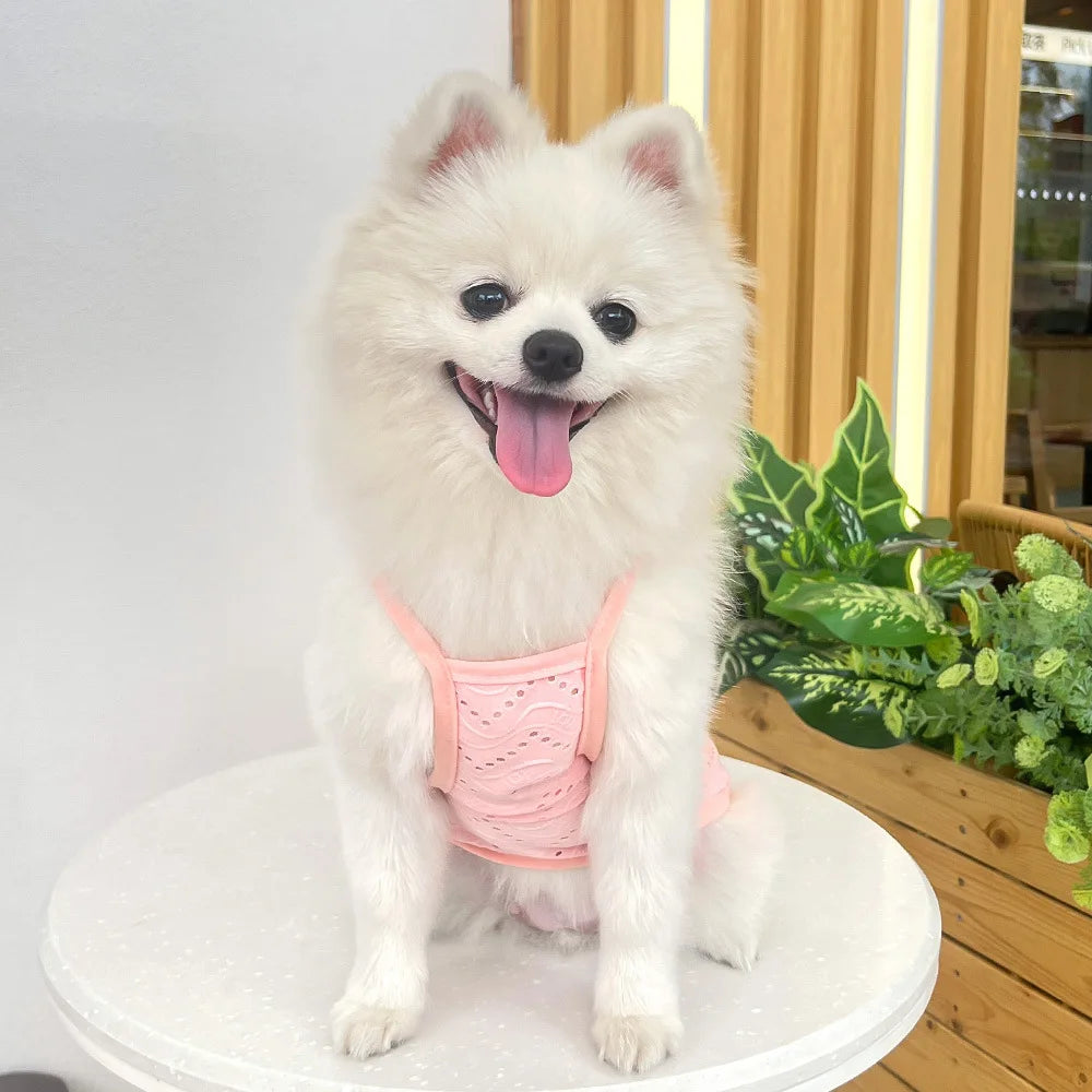 Breathable Dog Vest for Spring and Summer