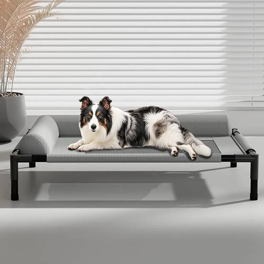 Elevated Mesh Dog Bed with Pillow — Breathable Raised Outdoor & Indoor Pet Bed