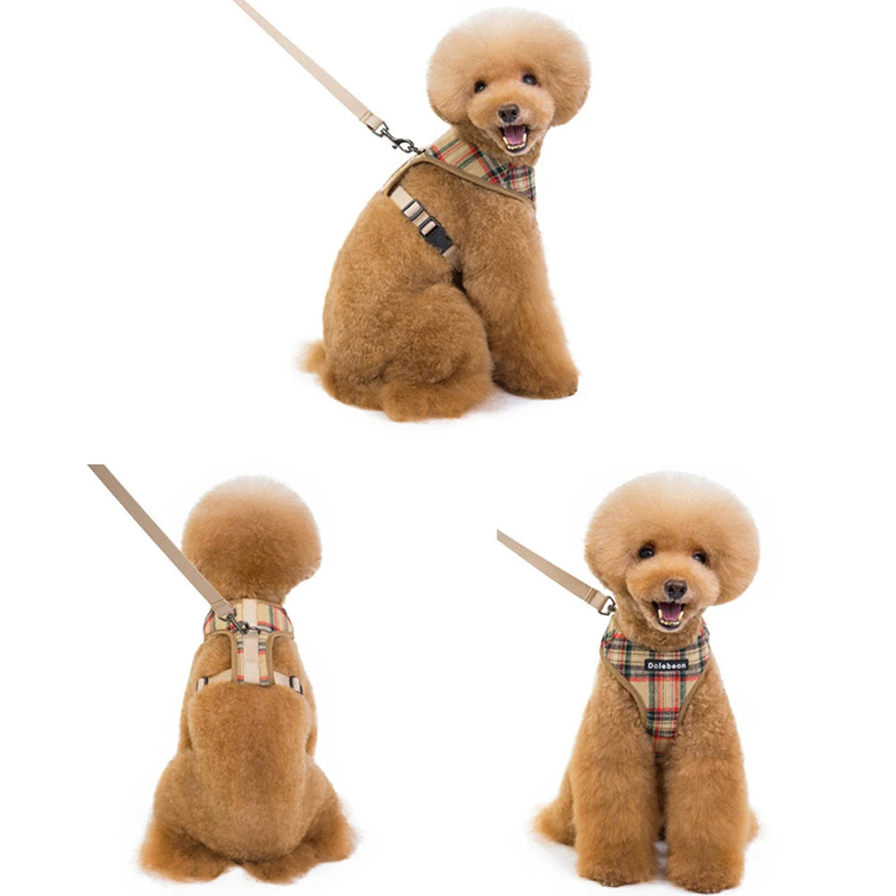 Adjustable Plaid Dog Harness & Leash Set