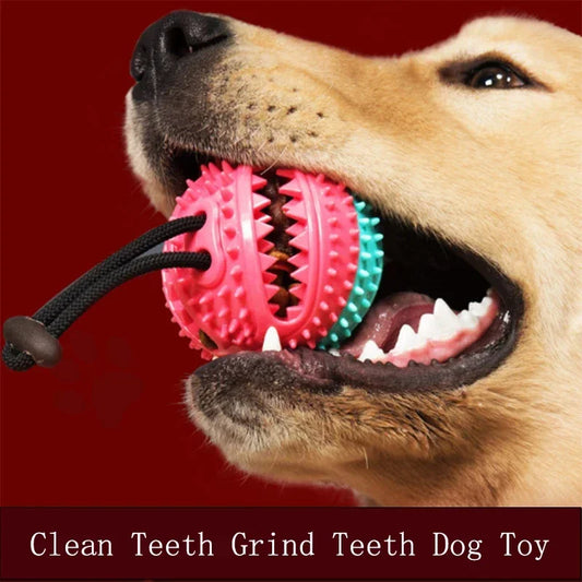 Interactive Rubber Food Dispenser Ball with Bell - Dog Chew Toy
