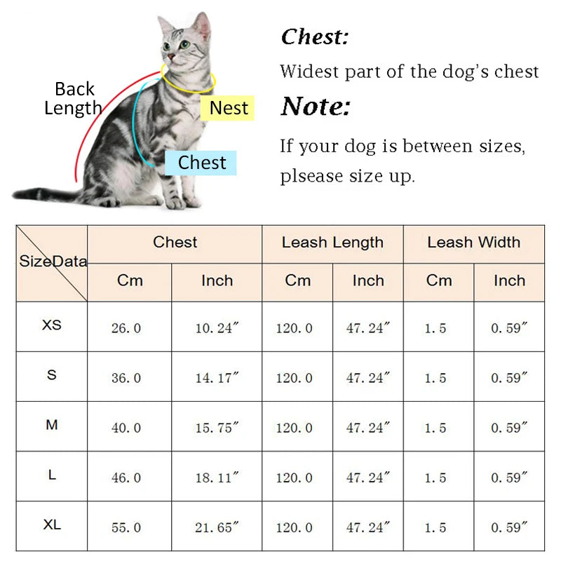 Adjustable Mesh & Plaid Cat Harness and Leash Set
