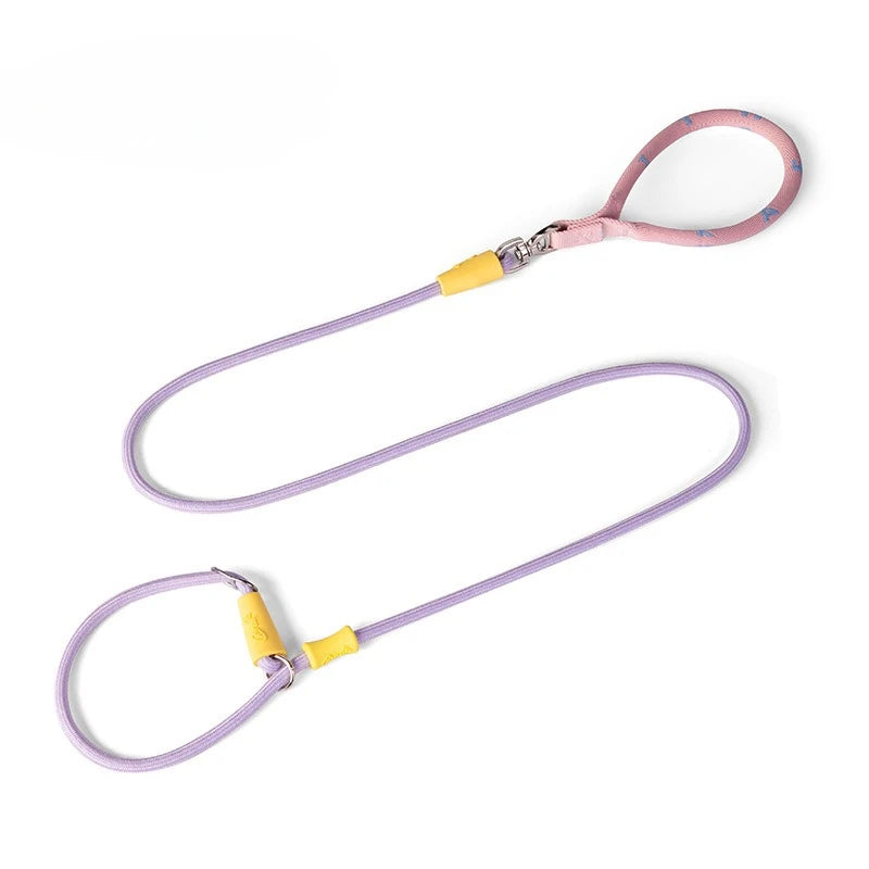 Laisse et collier combinés en nylon pour petits chiens