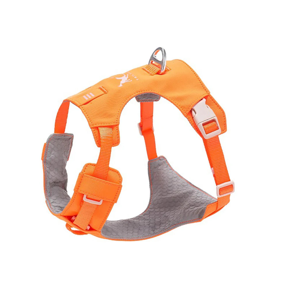 Lightweight Dog Harness & Leash Set Anti-Pull Escape-Proof Pet Walking Lead for Small Medium Large Dogs