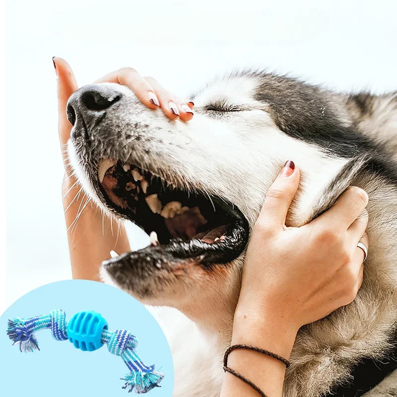 Cotton Rope Ball Dog Toy - Teeth Cleaning