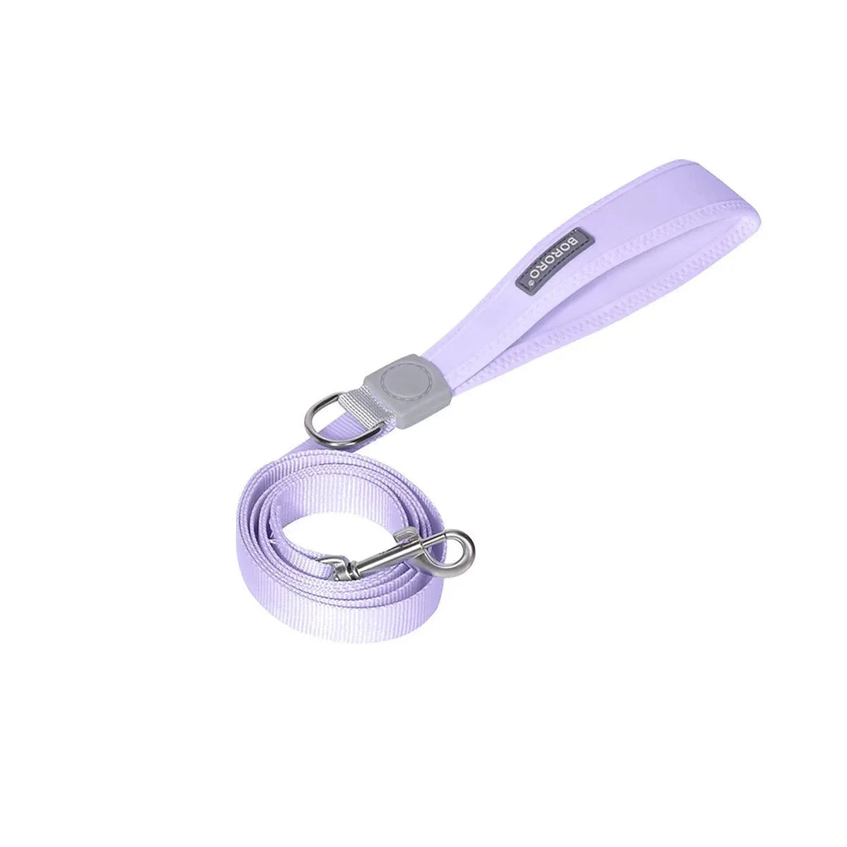 Ensemble Collier et Laisse pour Chien - Harnais de Poitrine pour Petits Chiens