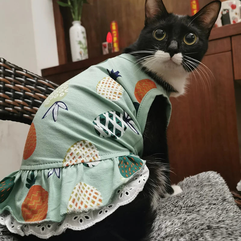Cotton Print Dress for Cats & Small Dogs