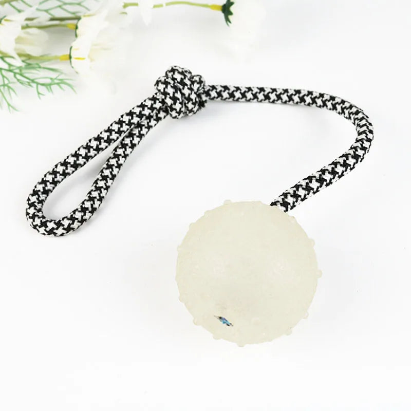 Reflective Bouncing Ball Dog Toy