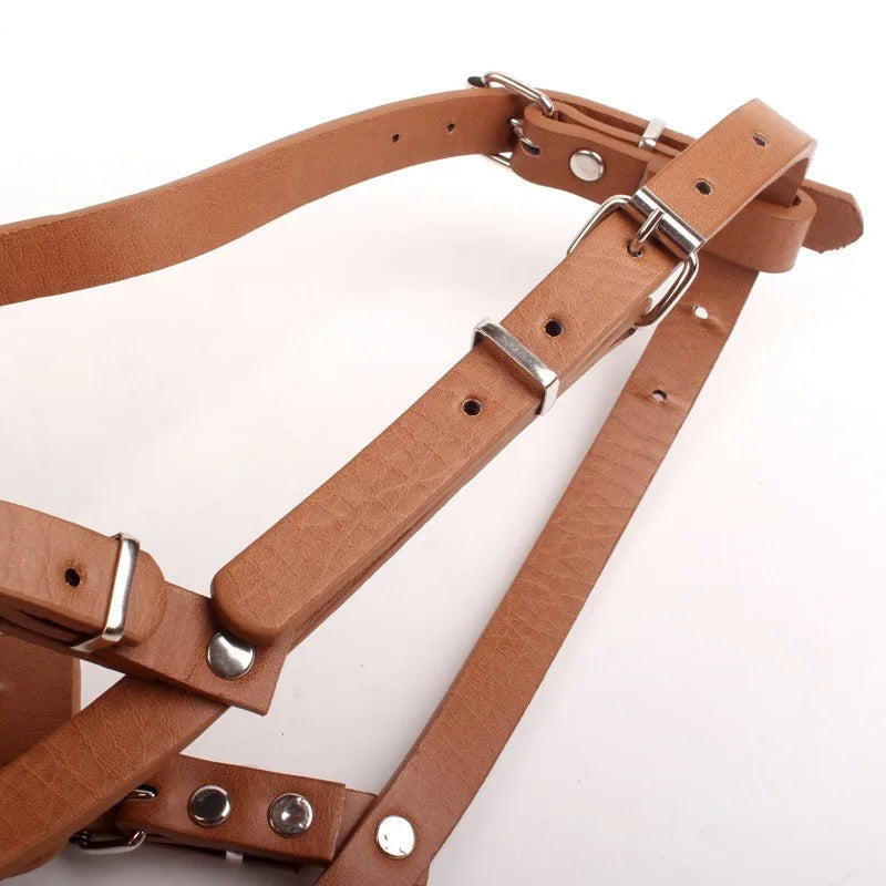 Adjustable Leather Dog Muzzle – Anti-Bite & Breathable