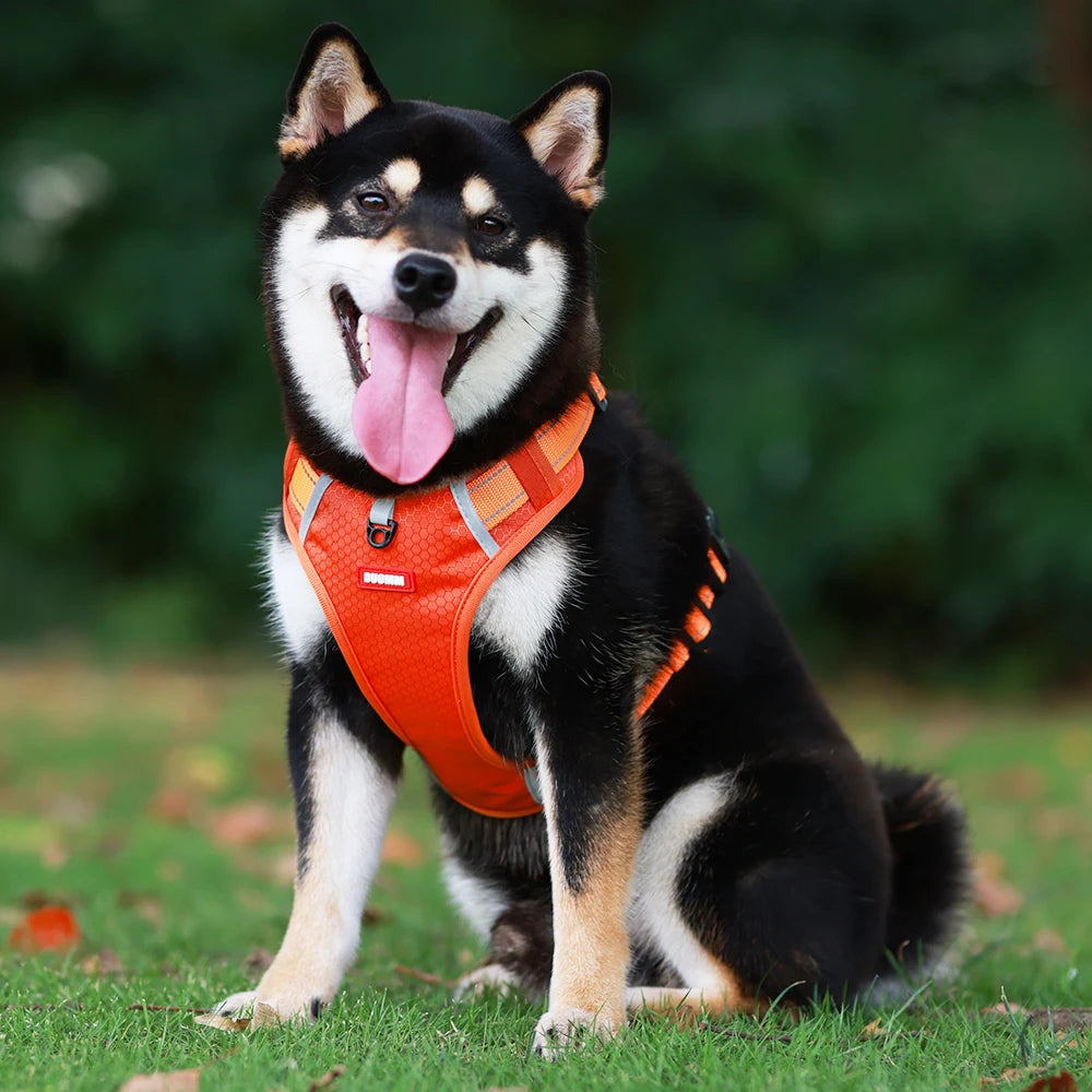 Reflective No-Pull Dog Harness Vest with AirTag Holder