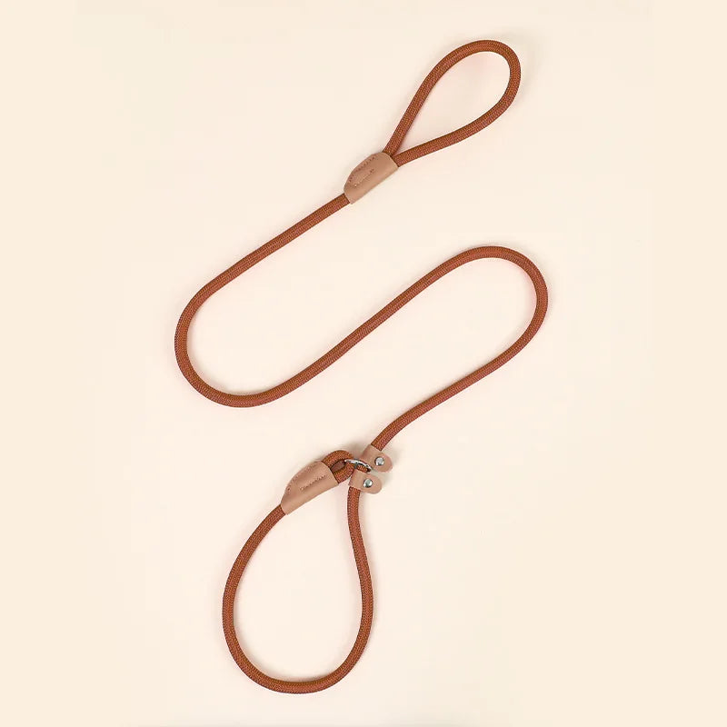 Adjustable Loop Collar Training Leash for Dogs