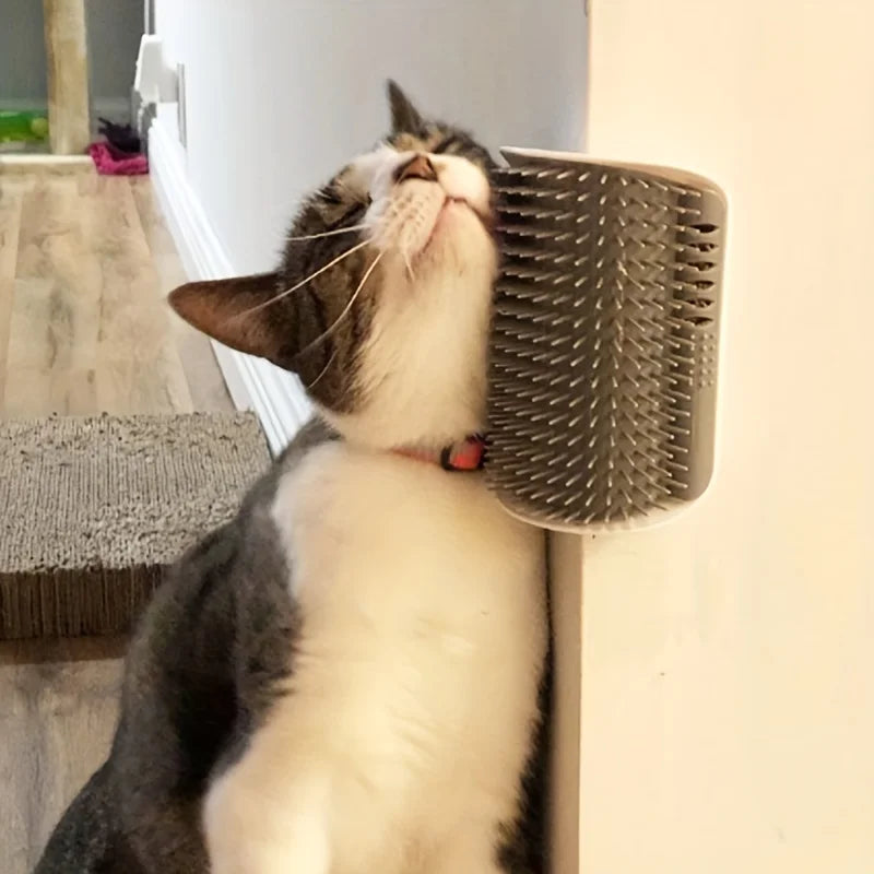 Brosse de massage murale pour chats, chatons et petits chiens
