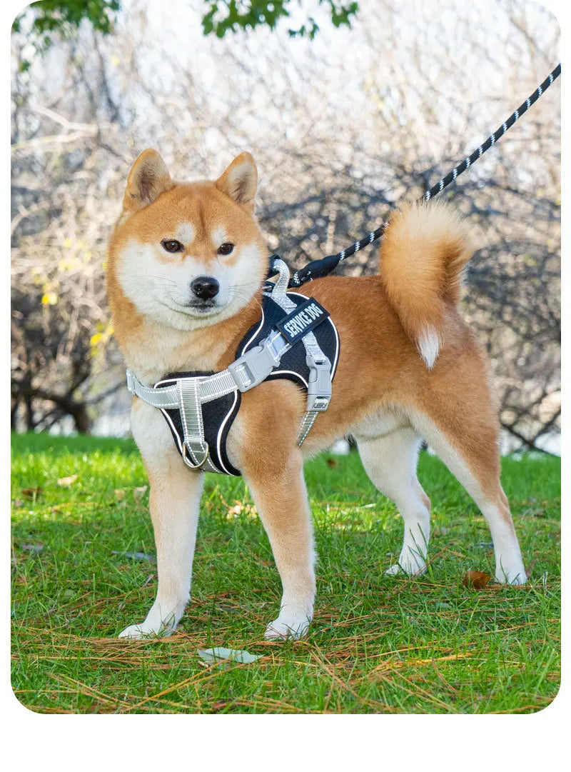 No Pull Dog Harness with Front Clip and Handle