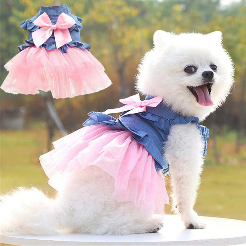Denim Princess Dress for Small Dogs & Cats — XS to XXL