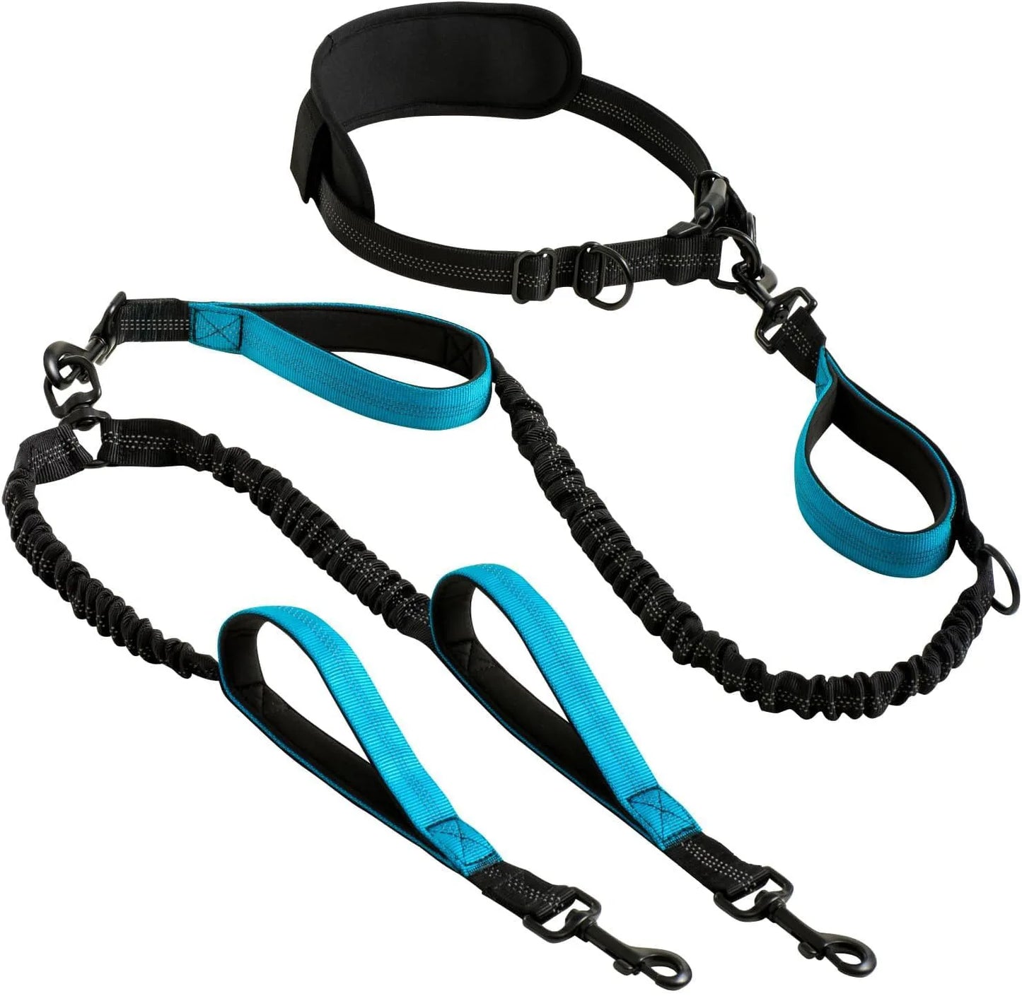 Double Dog Leash with Elastic Shock Absorber