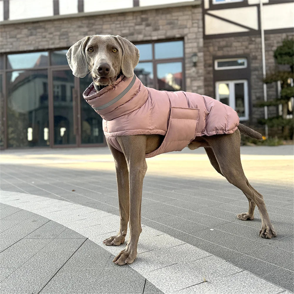 Waterproof High-Collar Down Jacket for Dogs