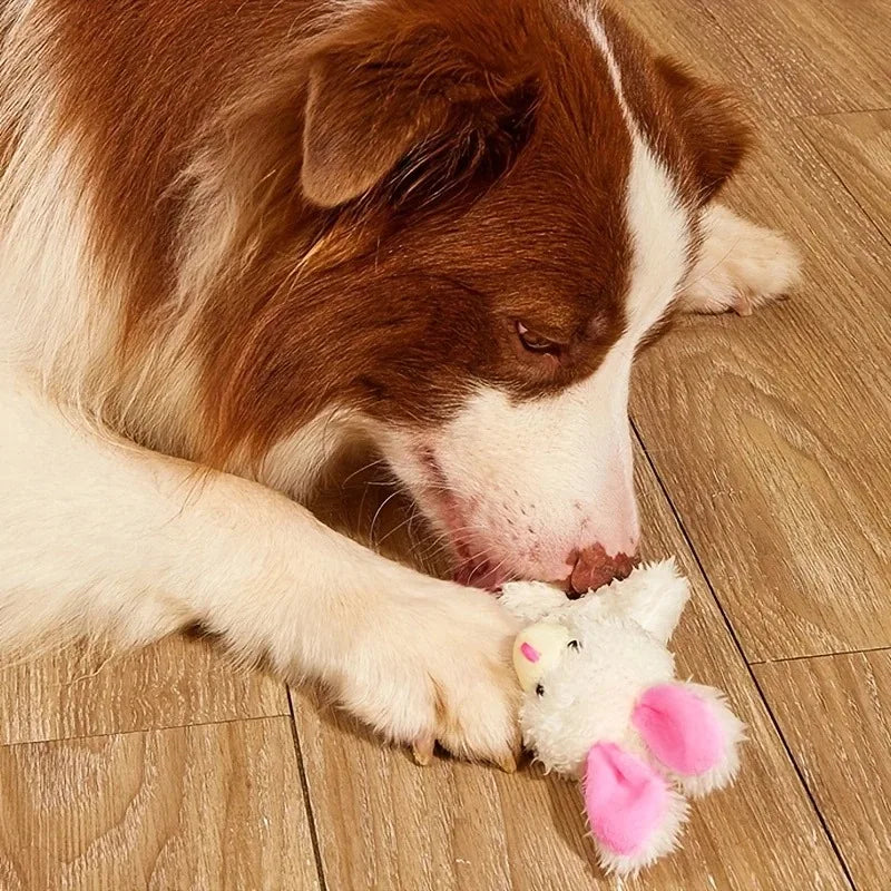 Rabbit Plush Chew Toy for Dogs – Interactive Teeth Cleaning & Grinding Toy