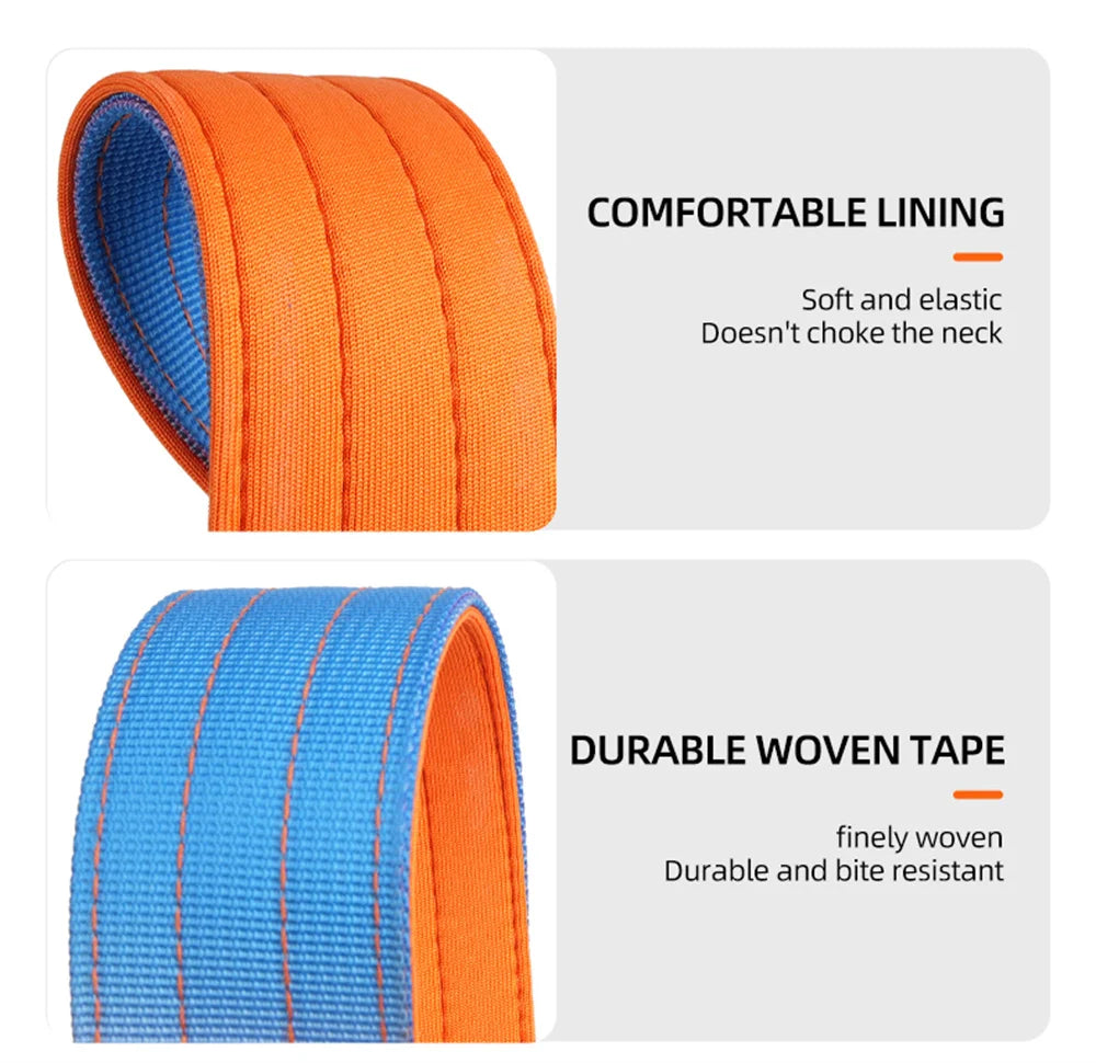 Wide Padded Dog Collar with Handle | Gradient Design for Large Dogs