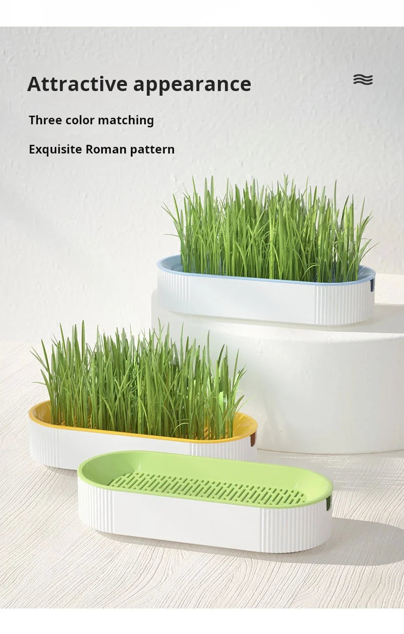 Kit de culture d'herbe à chat hydroponique – Ensemble de plantation sans terre pour friandises fraîches pour chats