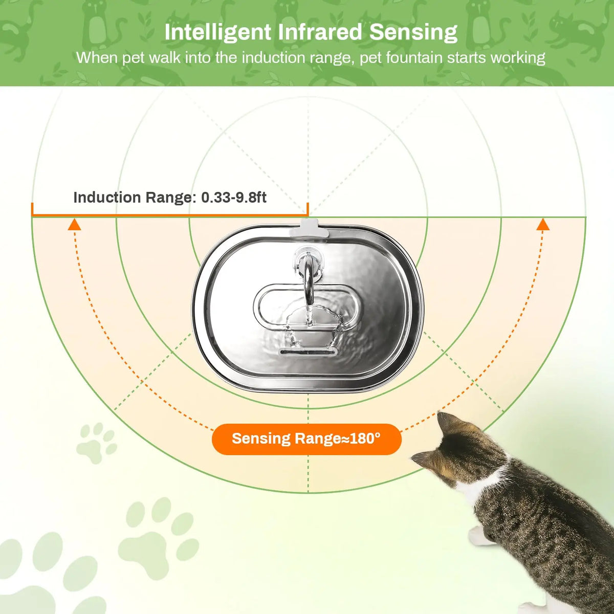 Motion Sensor Pet Water Fountain with Infrared Detector & Filter | USB Powered