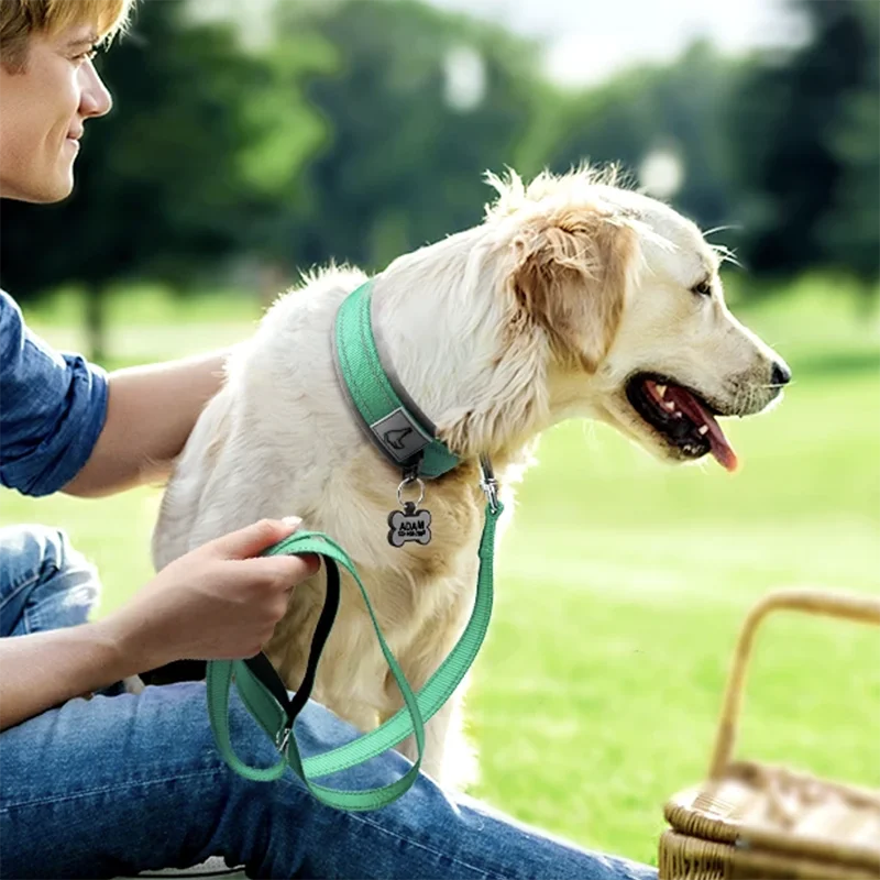 Padded Reflective Nylon Dog Collar – Adjustable for Small, Medium & Large Dogs