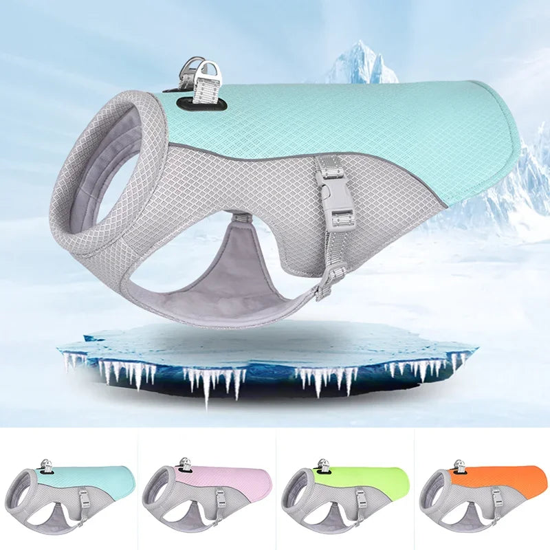 Harnais de poitrine pour chien avec laisse – Système complet de harnais pour animaux de compagnie