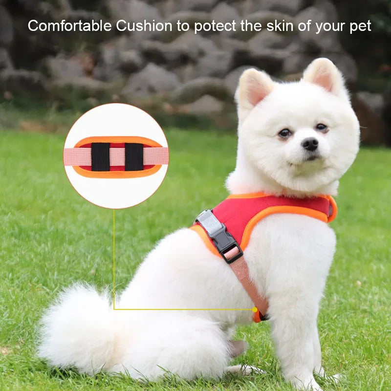 Reflective Dog Harness & Leash Set - Nylon Vest Harness for All Sizes