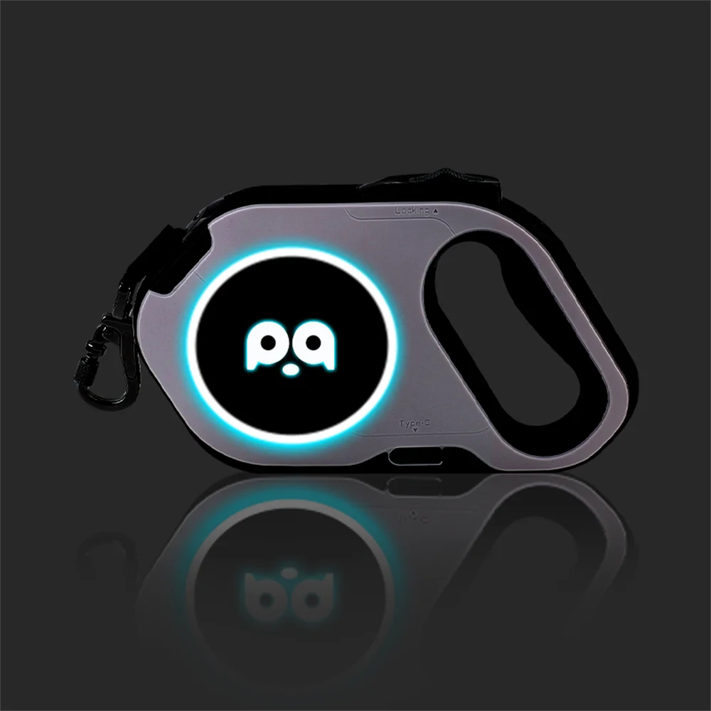 LED Retractable Dog Leash | 5M Rechargeable Light-Up Leash