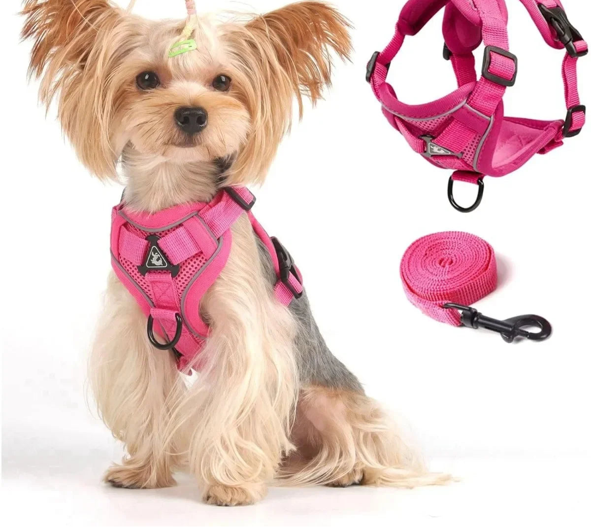 Adjustable Cat Vest Harness and Leash Set - Reflective Trim for All Sizes
