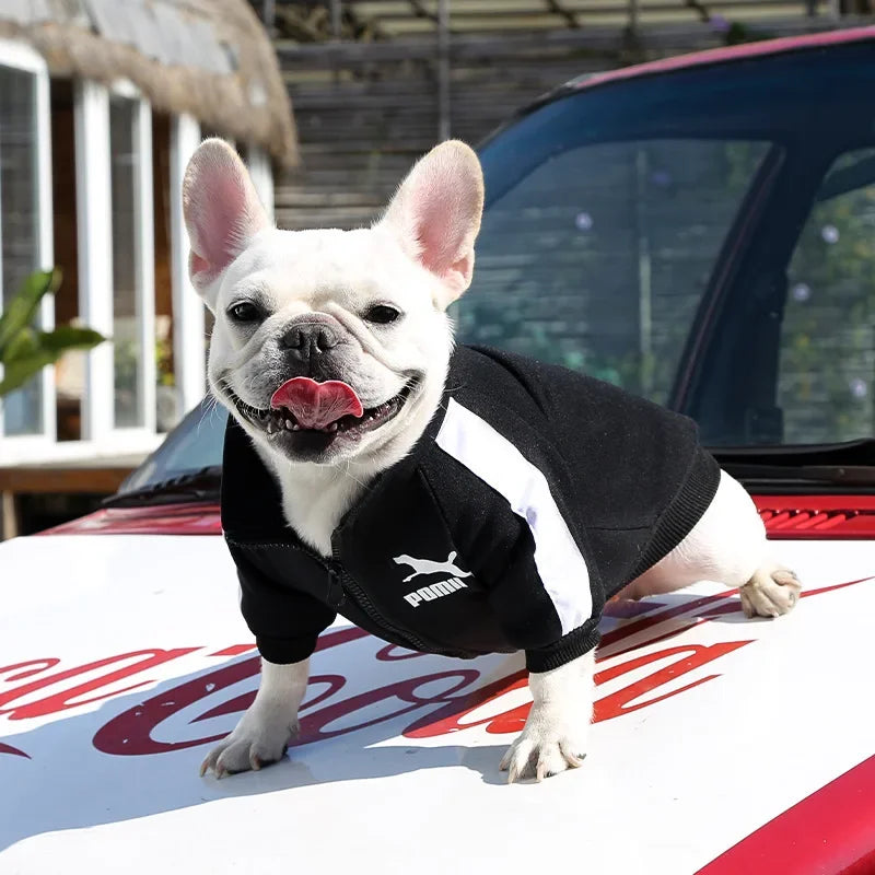 Dog Baseball Jacket | Autumn Winter Sweatshirt Coat for Small & Medium Dogs