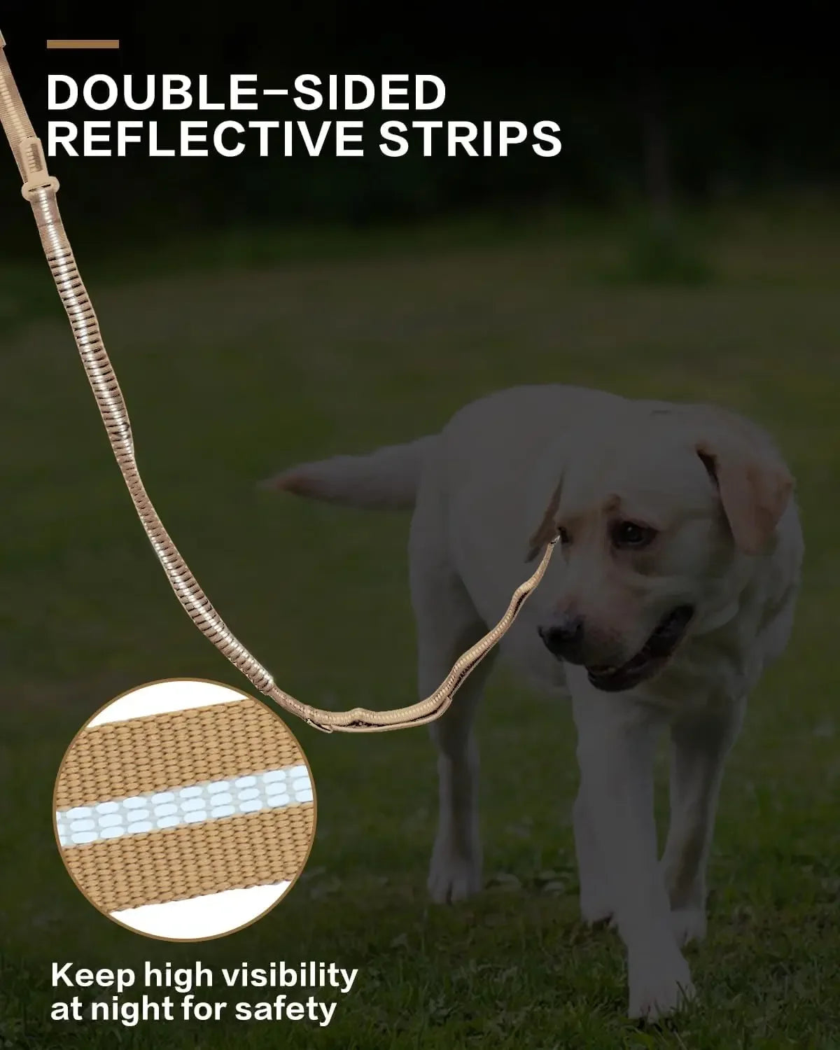 Reflective Bungee Dog Leash - Heavy Duty No-Pull Lead with Car Seatbelt