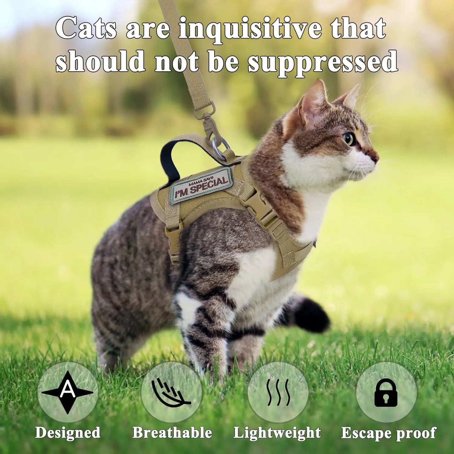 Escape-Proof Cat & Small Dog Harness Set