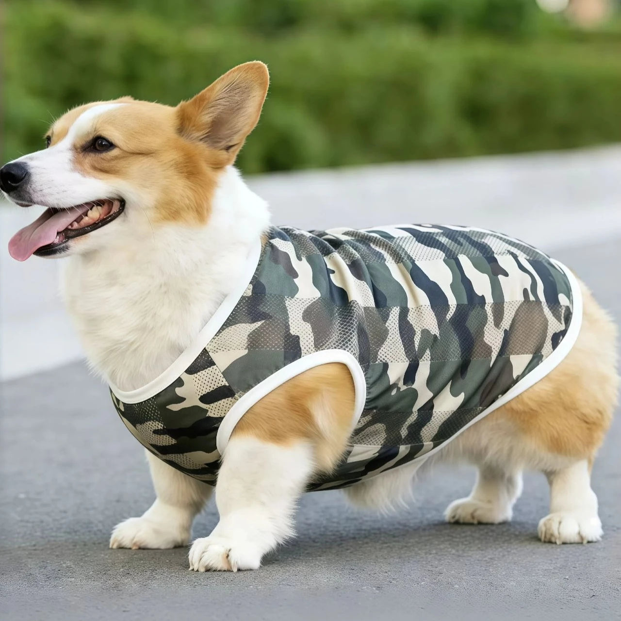 Breathable Mesh Cooling Vest for Dogs