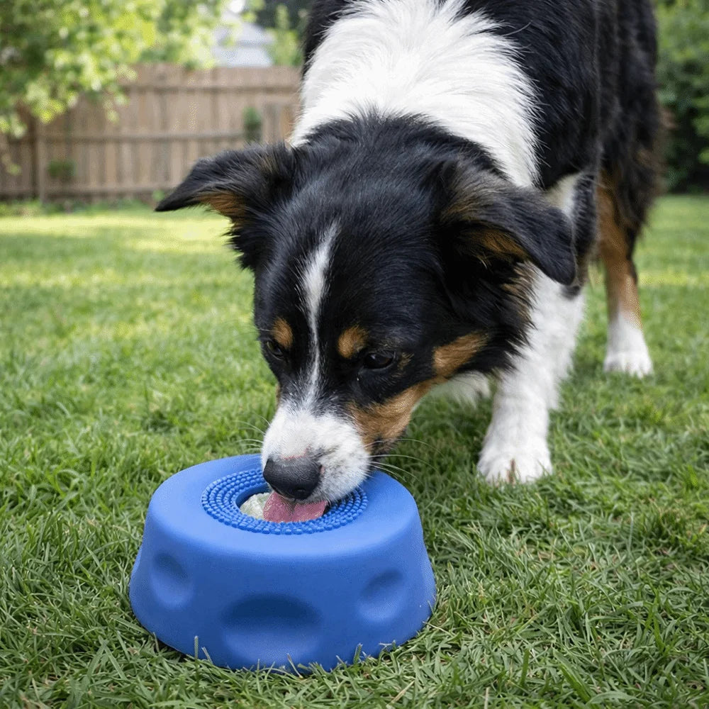Interactive Dog Licking Bowl with Ball-Shaped Design