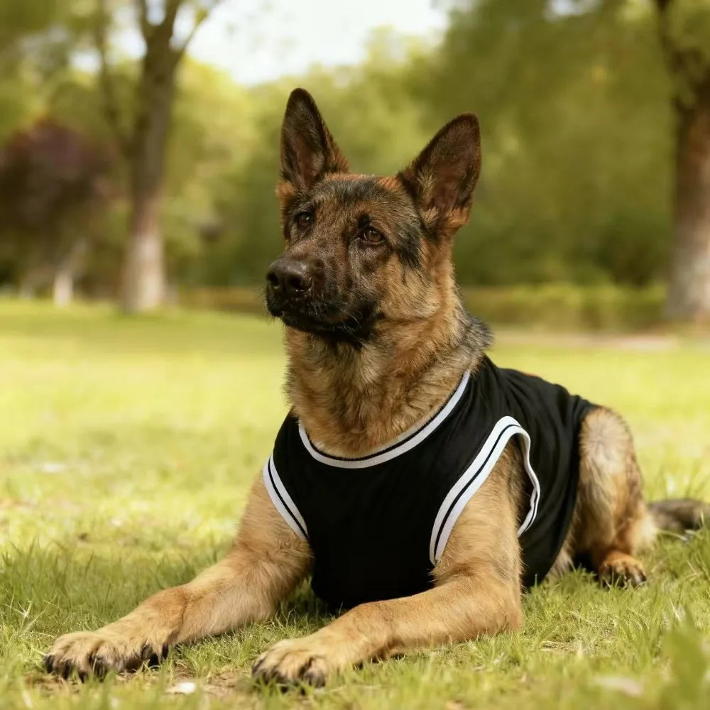 Maillot de refroidissement en maille pour chien de basket-ball de Chicago | Haut d'été respirant pour chiens de taille moyenne et grande