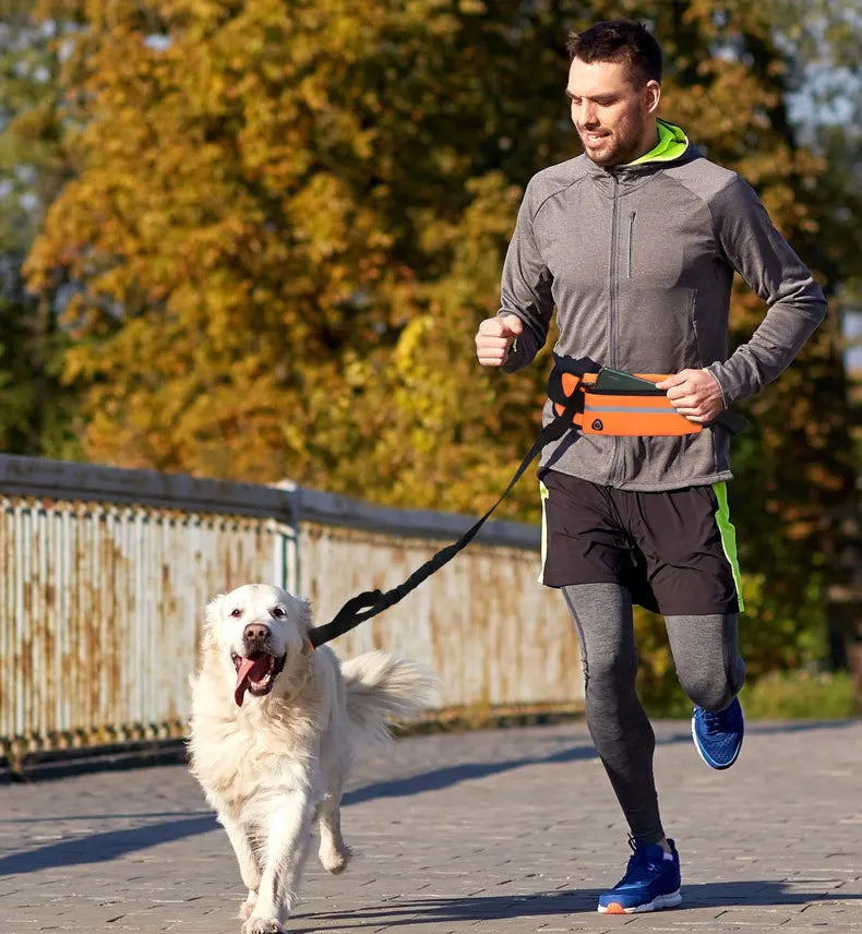 Laisse pour chien mains libres avec ceinture réfléchissante et pochette de rangement