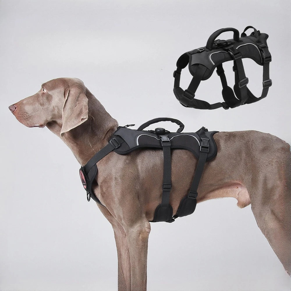 Harnais Tactique Militaire pour Grands Chiens
