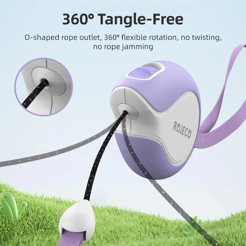 3M Mini Retractable Dog Leash — Compact Extendable Lead for Walking & Travel